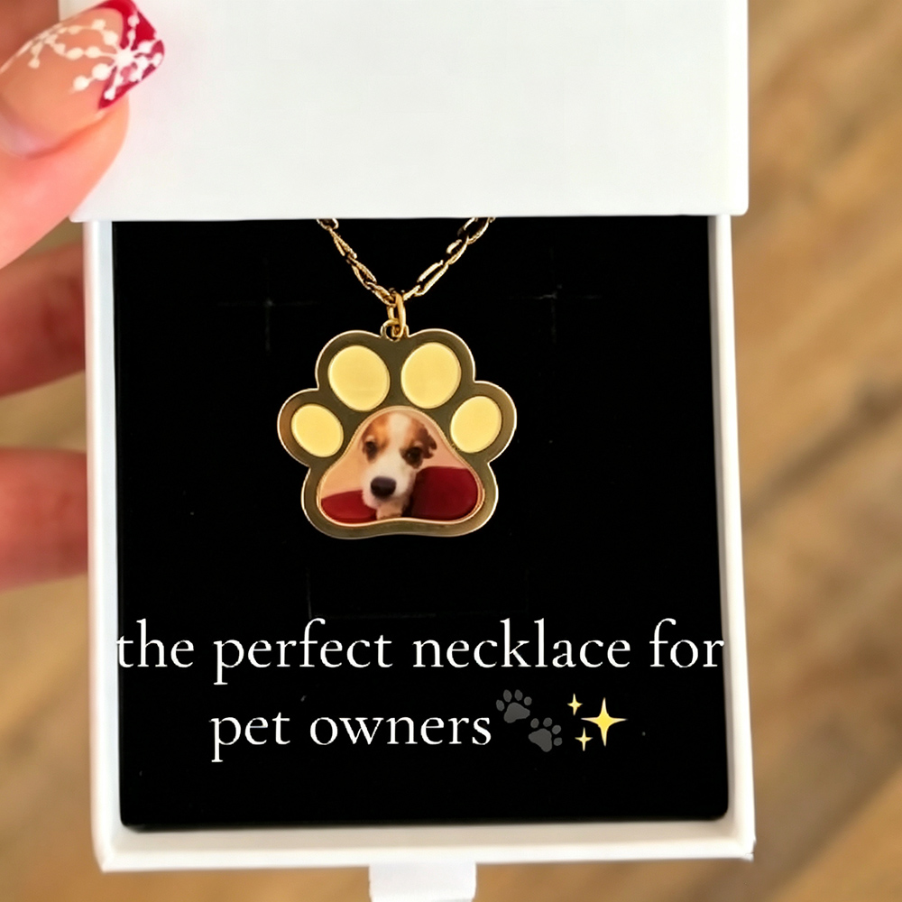 Personalized Pet Paw Colors Pr - Engraved Name Necklace review and price